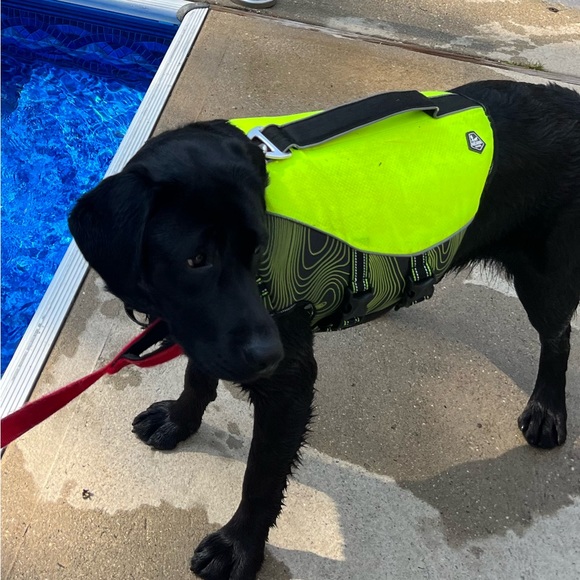 Arcadia Trail Flotation Coat for Dogs - Size Medium Slightly used - Picture 11 of 13